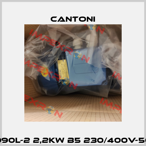 3SIEK 090L-2 2,2kW B5 230/400V-50Hz IE3 Cantoni
