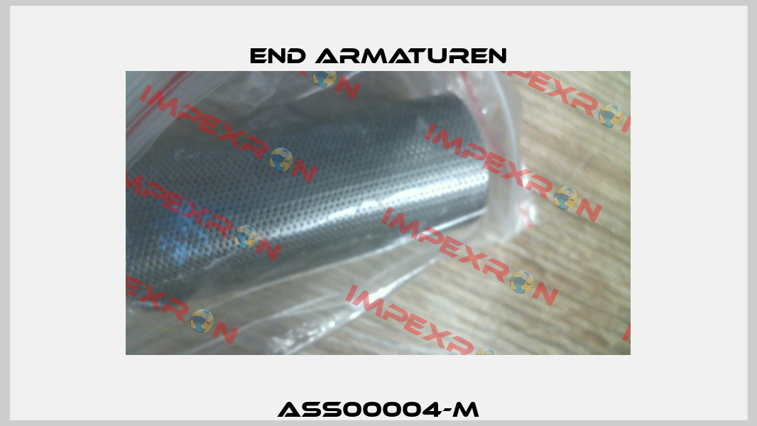 ASS00004-M End Armaturen