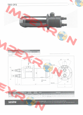 T60 C2 Sesino