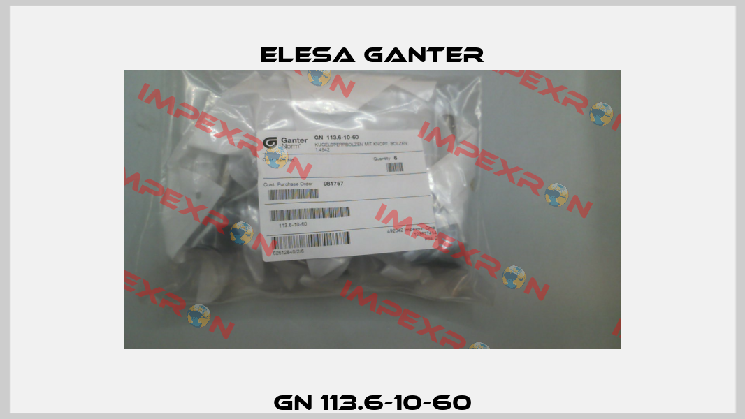 GN 113.6-10-60 Elesa Ganter