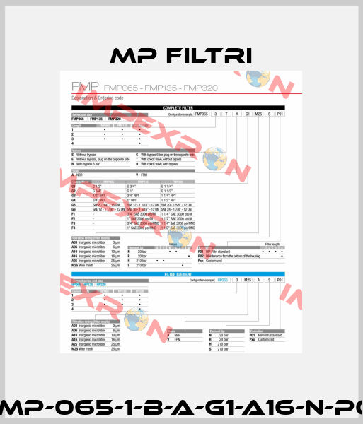 FMP-065-1-B-A-G1-A16-N-P01 MP Filtri