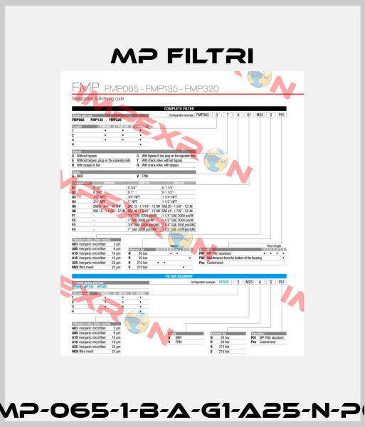 FMP-065-1-B-A-G1-A25-N-P01 MP Filtri
