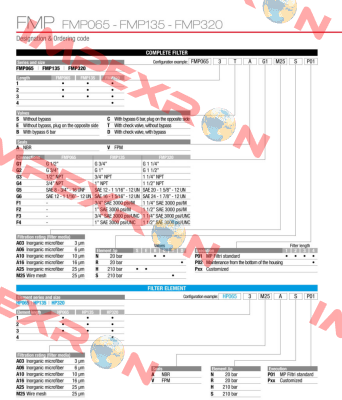 FMP-320-2-B-A-G1-A10-N-P01 MP Filtri