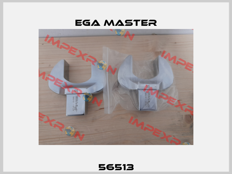 56513 EGA Master