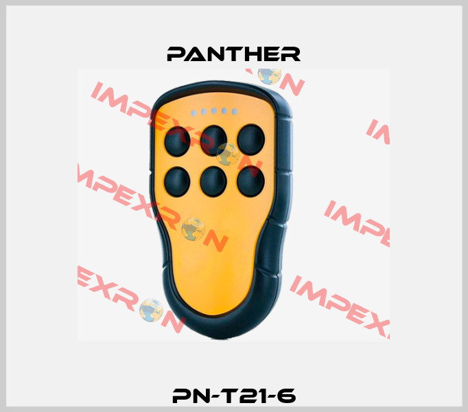 PN-T21-6 Panther