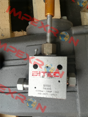 710.5310 / c SITEC