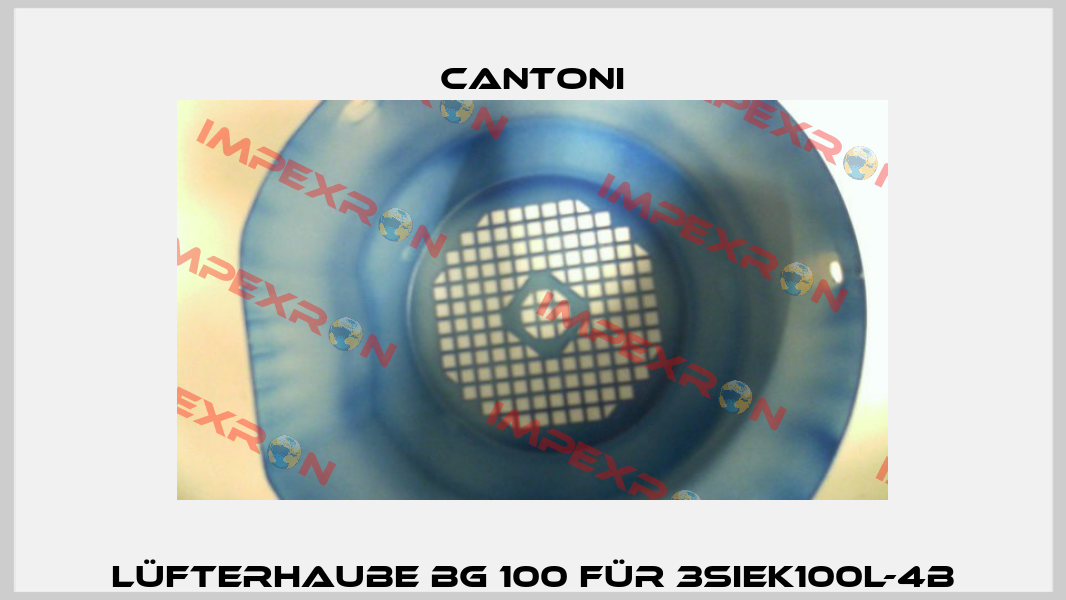 Lüfterhaube BG 100 für 3SIEK100L-4B Cantoni