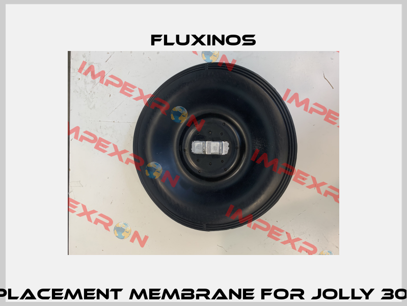 Replacement membrane for JOLLY 300 B fluxinos